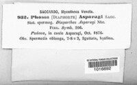 Phomopsis asparagi image